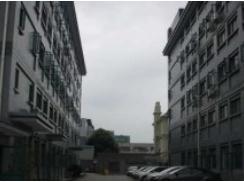 上海梅隴科技信息園助力企業(yè)跨越發(fā)展，筑夢(mèng)科技未來(lái)